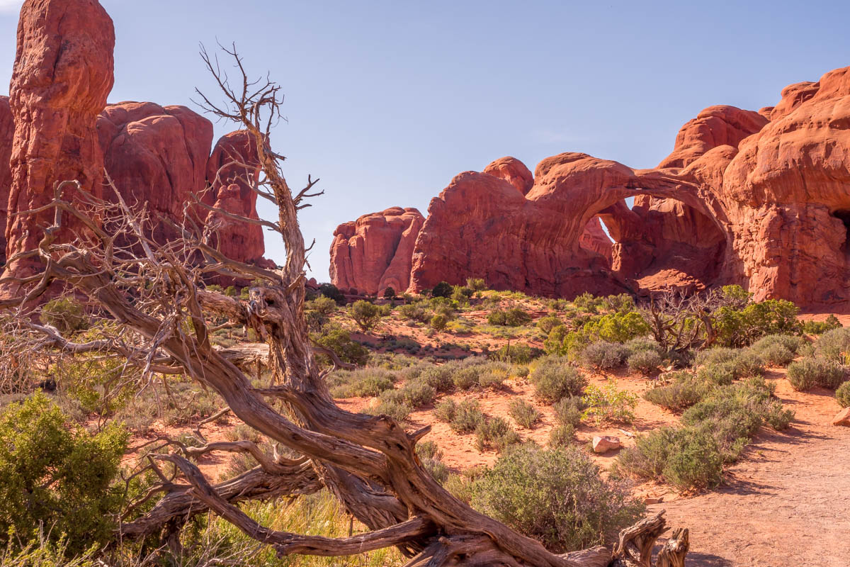 Arches National Park